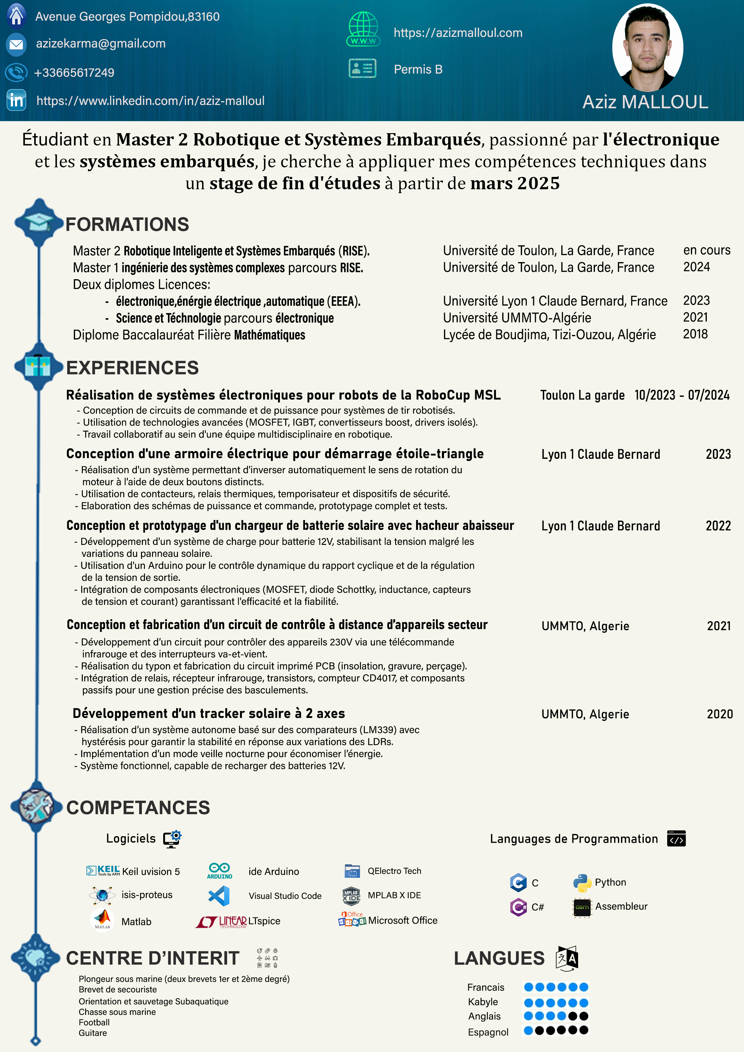 CV de Aziz Malloul